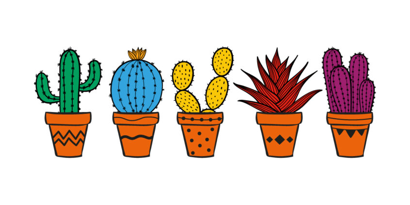 ortho-&-logo-edition-jeux-orthophoniste-anne-lise-mommert-graphiste-caen-calvados-pommep-v01-cactus